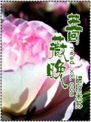 蔷薇晚在线阅读