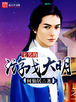 宅男的游戏大明在线阅读