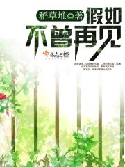 假如不曾再见在线阅读