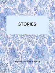 STORIES在线阅读