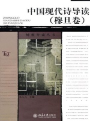 中国现代诗导读（穆旦卷）