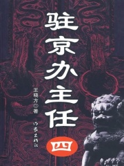 驻京办主任4