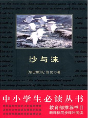 沙与沫（中小学生必读丛书）在线阅读