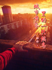 城市黄昏里的一只候鸟