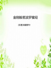 金刚般若波罗蜜经在线阅读