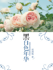 黑白色年华
