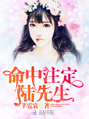 命中注定陆先生在线阅读