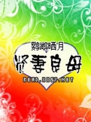贤妻良母在线阅读