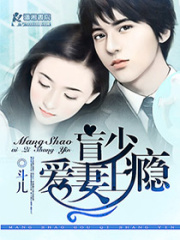 盲少爱妻上瘾在线阅读