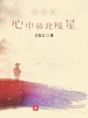 你是谁心中的北极星在线阅读