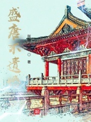 盛唐不遗憾在线阅读