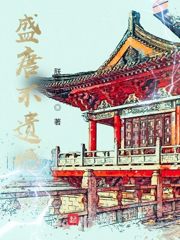 盛唐不遗憾在线阅读