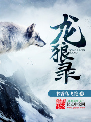 龙狼录在线阅读