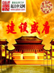 建设盛唐在线阅读