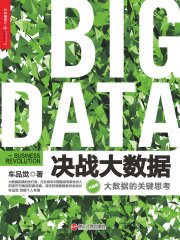决战大数据（升级版）：大数据的关键思考在线阅读