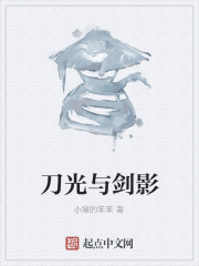 刀光与剑影在线阅读