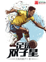 足球双子星在线阅读
