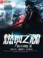 [奇幻魔法]《燃钢之魂》（校对版全本）作者：阴天神隐【转载TXT】