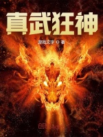 真武狂神封面