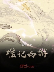 难记西游
