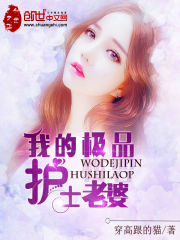 我的极品护士老婆在线阅读