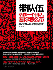 带队伍：给你一个团队，看你怎么带