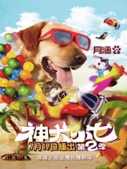 神犬小七