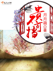 贵不可挡在线阅读