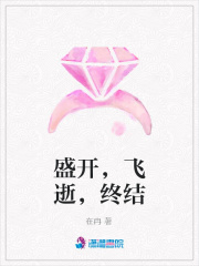 盛开，飞逝，终结