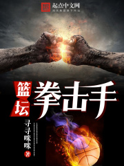 篮坛拳击手在线阅读