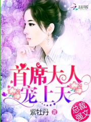 幸会了萧先生在线阅读