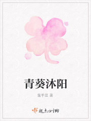 青葵沐阳在线阅读