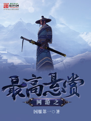 网游之最高悬赏在线阅读
