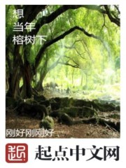 想当年，榕树下在线阅读