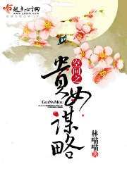 空间之贵女谋略在线阅读