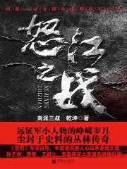 怒江之战（全集新版）