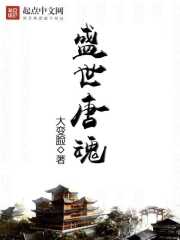 盛世唐魂在线阅读