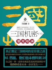 三国机密（下）：潜龙在渊在线阅读