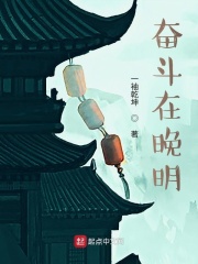奋斗在晚明在线阅读