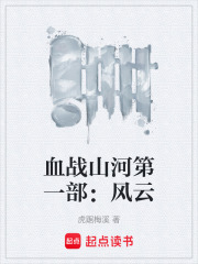 血战山河第一部：风云在线阅读