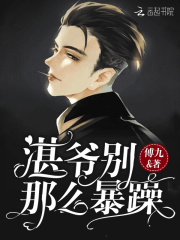 湛爷别那么暴躁在线阅读