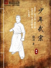 少年武宗在线阅读