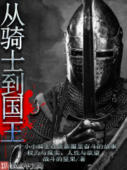 从骑士到国王在线阅读
