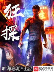 狂探在线阅读