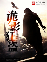 诡影狂盗在线阅读
