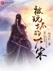 被玩坏的大宋在线阅读