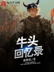 牛头回忆录在线阅读
