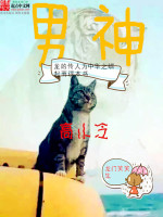 男神高小冷在线阅读