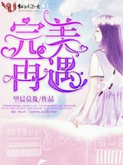 完美再遇在线阅读