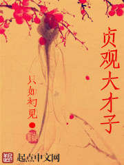 贞观大才子在线阅读
